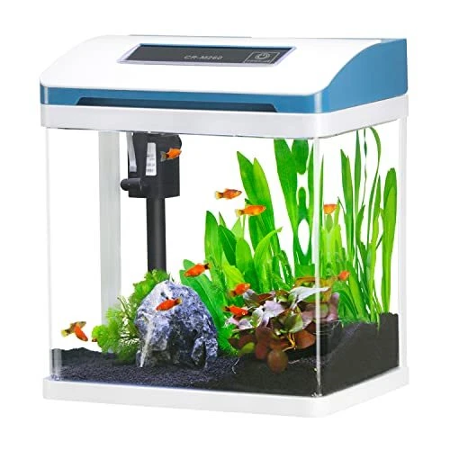 Small Fish Tank Glass Aquarium Starter Kits Self Cleaning w/Colorful 2 Gallon