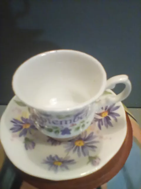 Miniature Cup & Saucer For September.  Made By  Finsbury. Fine Bone China