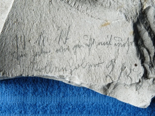 Pointes de flèche de tir à l'arc
