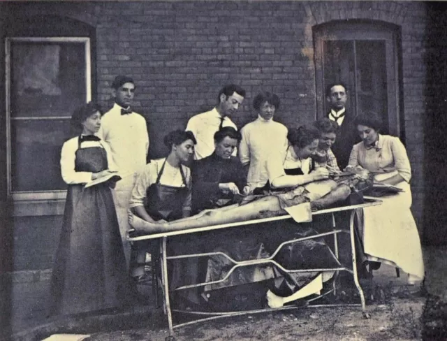 Antique Autopsy Photo 568b Oddleys Strange & Bizarre