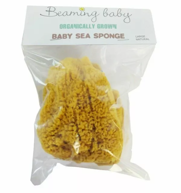 Beaming Baby Organique Mer Éponge pour Bébé Petit Naturel