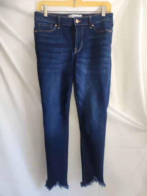 NO BOUNDARIES PANTS Womens 11 Blue Denim Jeans Daisey All Over