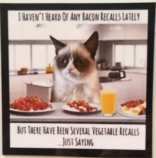 I Haven't Heard Bacon Recalls But Several Vegetable Just Sayin Grumpy Cat MAGNET