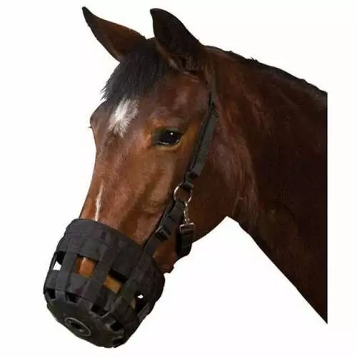 Roma Grazing Muzzle CLOSEOUT