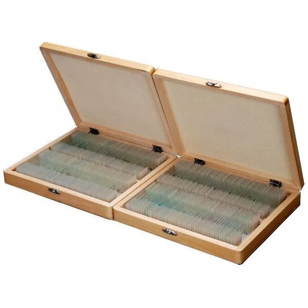 AmScope 200 Piece Set of Prepared Microscope Glass Slides with Box PS200