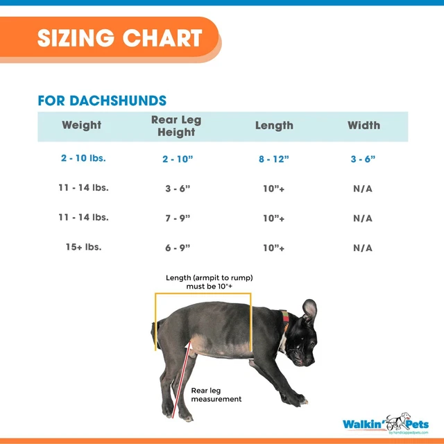 Dachshund Wheelchair - for Small Dogs 2-30+ Pounds - Veterinarian Approved 2