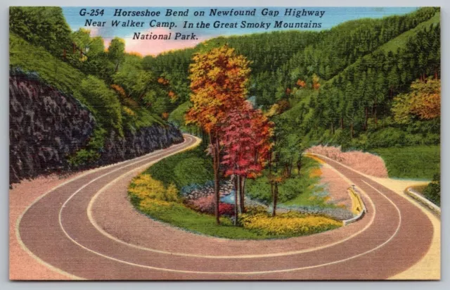 Horseshoe Bend Newfound Gap Highway Walker Camp Great Smoky Mountains Postcard