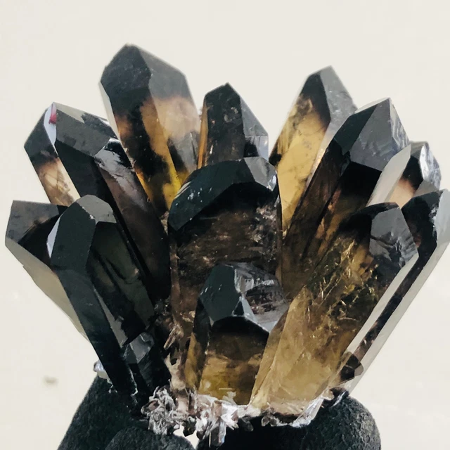 314g  New Find Black Phantom Quartz Crystal Cluster Mineral Specimen Healing 3