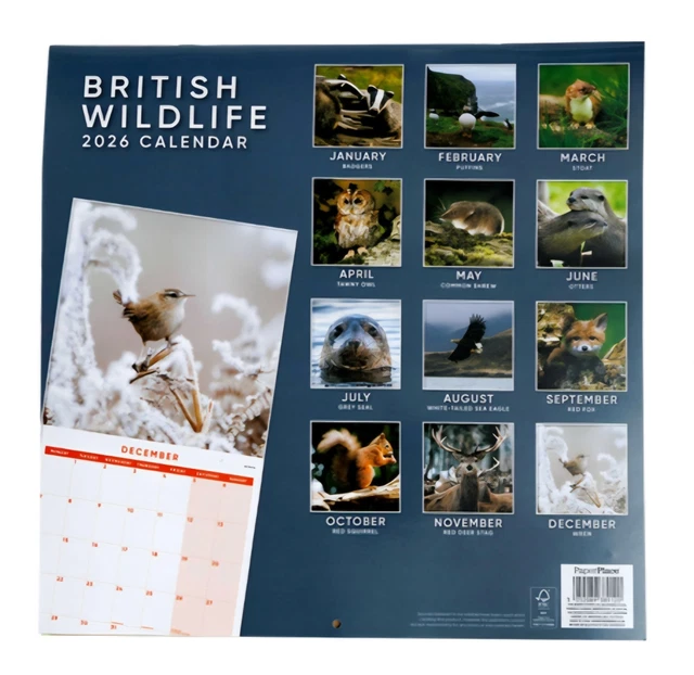 BRITISH WILDLIFE 2026 Calendar &amp; Diary Set £8.66 - PicClick UK