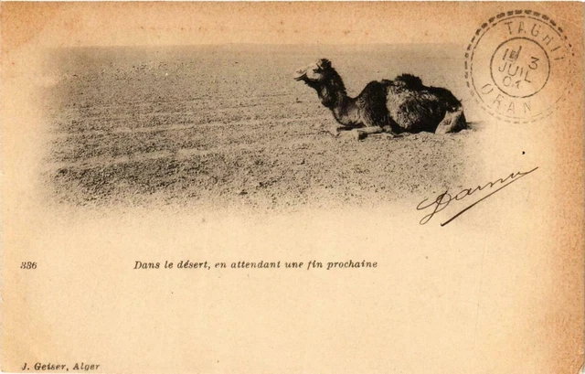 CPA AK Geiser 336 Dans Désert en attendant une fin prochaine ALGERIA (769528)