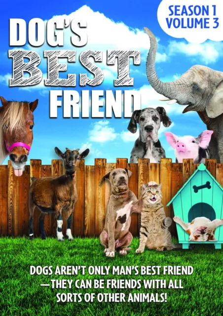 Dog's Best Friend: Season 1 Volume 3 (DVD) Sara Marino