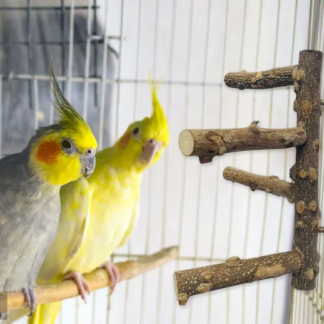 Haustier Papagei Vogel Barsch Ständer Kauen Biss Spielzeug Holzstange Vogel