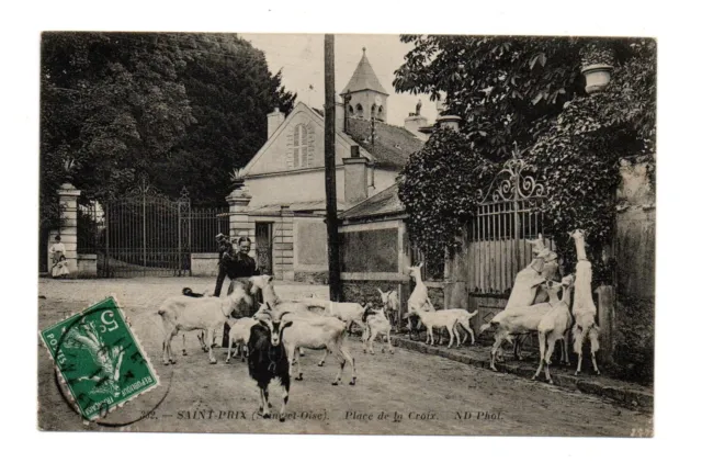 Cpa 95 Saint-Prix 1911. Troupeau de chèvres Place de la Croix. Animée. Dos divis