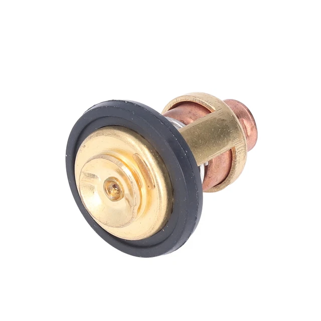 66M1241100 Termostato motore fuoribordo professionale affidabile stabile per