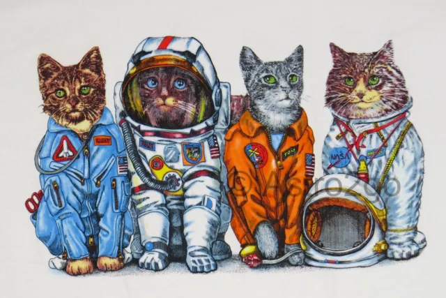 SPACE CATS--NASA Astronaut Flight Suits Astronomy Science 2 sided kids T shirt