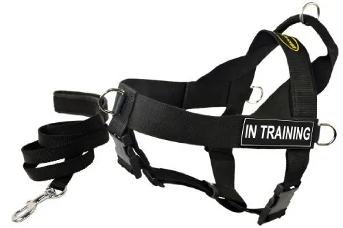 Dean and Tyler Bundle DT Universal Harness In Training X-Small 21" - 25" Plus...