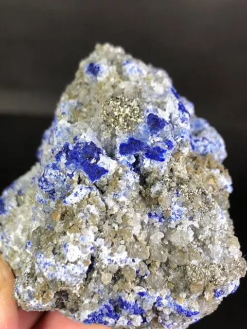 97 g Campione di minerali Lazurite Royal Blue & Pyrite Matrix dall'Afghanistan