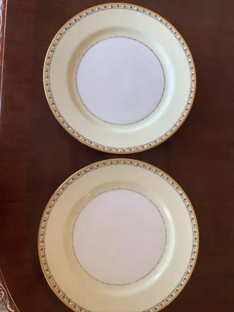 Two Hand painted Meito China 9 7/8 in. dinner plates made in Japan, Gold rim