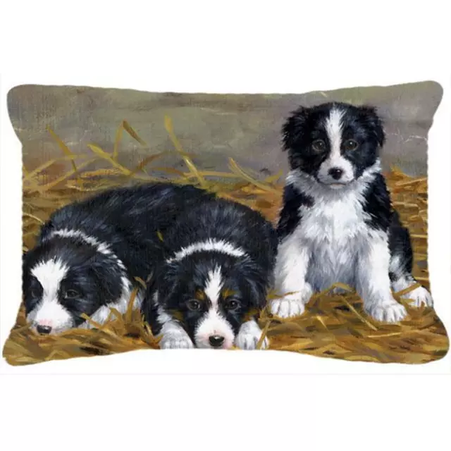 Carolines Treasures ASA2196PW1216 Border Collie Puppies Fabric Decorative Pillow