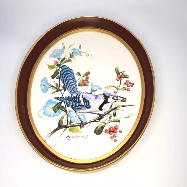 Leland Brewsaugh Framed Art Print Blue Jay Bird