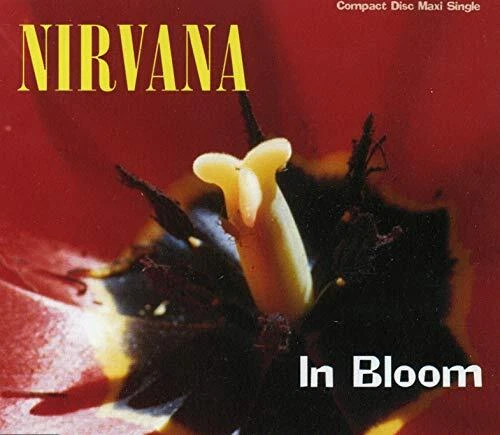 NIRVANA - In Bloom - CD - Single Import - **Mint Condition**
