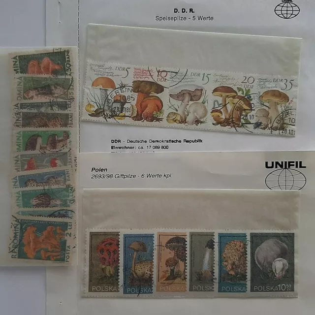 Motiv Briefmarken Pilze