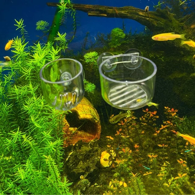 Planted Tank Water Plant Landscape Cup Plant Cup Holder Breeding Basin Mini Cup