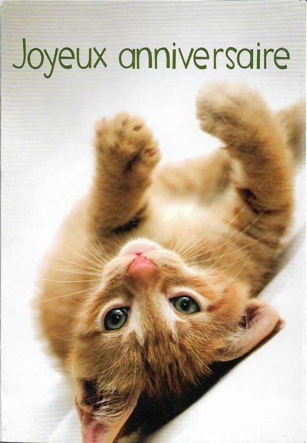 Chat Le Anniversaire Le Proverbe Chinois Picclick Fr