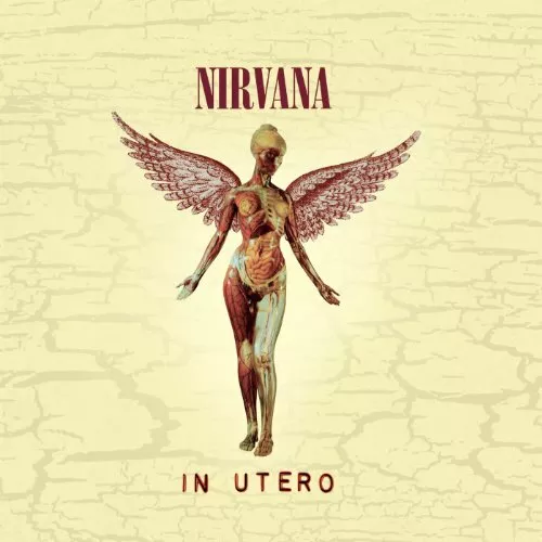 Nirvana - In Utero - Nirvana CD KYVG FREE Shipping