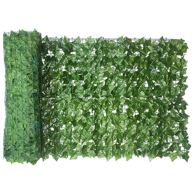Recinzione per Privacy Foglie d'Edera 90 x 240 cm, Recinzione da