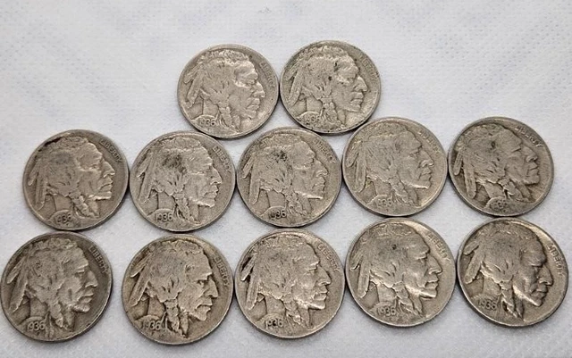 1936 Buffalo Nickels (Lot of 12)