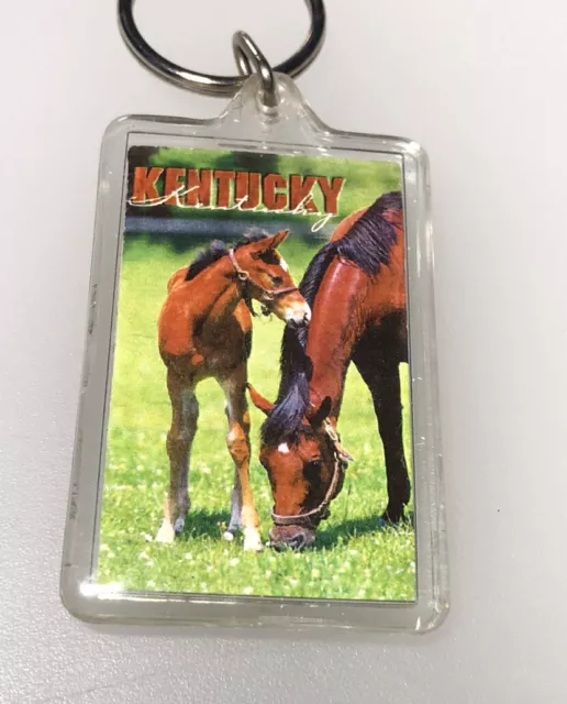 Vintage Kentucky Horses Racing Outdoors Bluegrass Keychain Key Ring Chain Fob