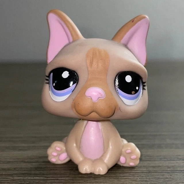 LPS  1896 French Bulldog
