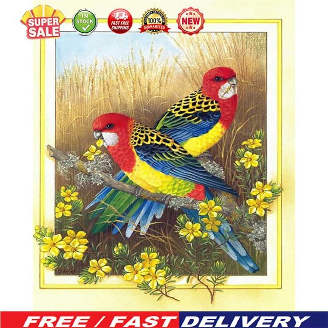 Kit de pintura al óleo de pájaro con flores por números hágalo usted mismo pintura acrílica sobre lienzo (B1426)