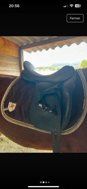 Selle de cheval neuve en cuir noir dressage mono rabattable à goélettes
