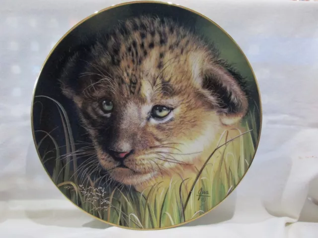 Lion Cub Bygua Princeton Gallery Limited Edition Collector Plate 22473 Big Cats 9 95 Picclick
