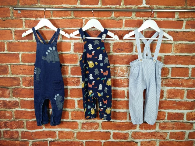Baby Boys Bundle Age 9-12 Months Next M&S H&M Romper Dungaree Animals Blue 80Cm