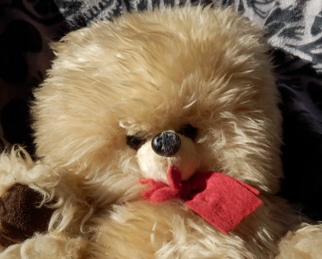 Véritable grand ours peluche année 50 - Collection