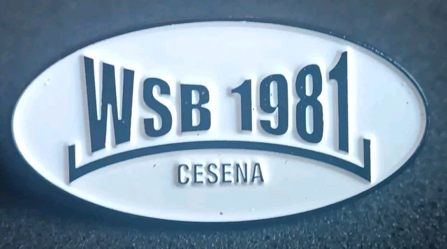 Emblema Posteriore C220 Argento Per Mercedes Classe C (W203/W204/W205) – Logo 3D In ABS, Antiruggine E Impermeabile