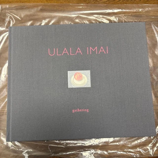 ULALA IMAI REI Imai Gathering Book Cross Cover From Japan £157.91