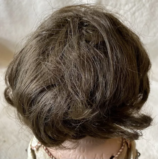 Fine Vintage Wig For French Or German Bisque Doll AA 7 8”