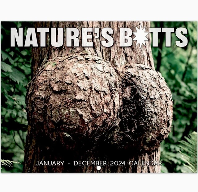 2024 WALL CALENDAR, White Elephants Natures's Butts, 2024 Calendar (Gag