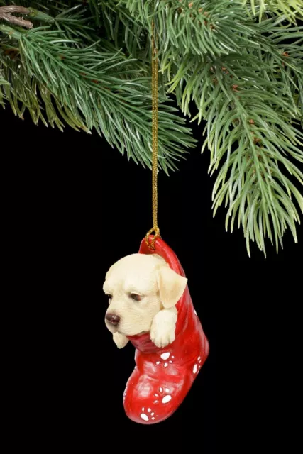 Noël Chien - Labrador Dans Chaussettes - Décoration de Noël Doux Chiot