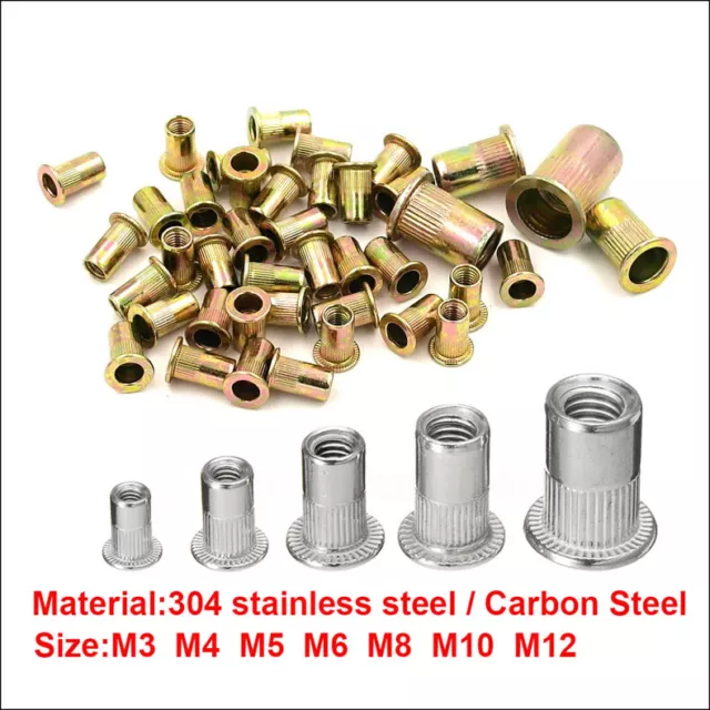 M3 4 5 6 8 10 M12 Rivet Nut Threaded Blind Insert Nuts 304 Flat Nutsert Screws