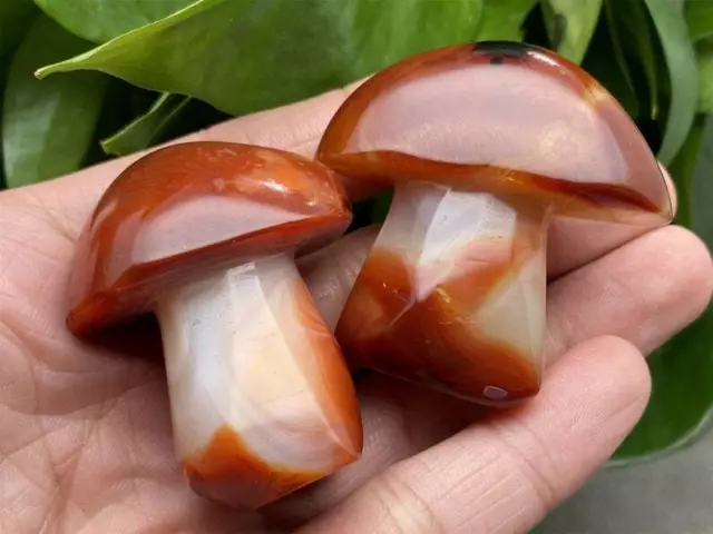 1.6'' Natural Red Agate Carved Mushroom Quartz Crystal Skull Reiki Healing 1pc