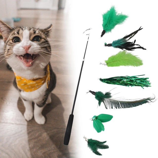 Ensemble de jouets en plumes de chat Exerciseur s'amusant Jouet 7 Cadeau de
