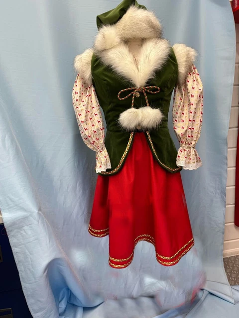 Complete Elf Costume