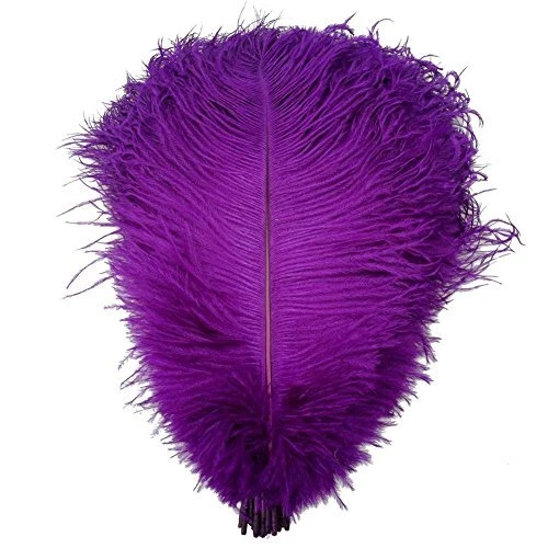 40pcs 12''~14''(30~35cm) Natural Ostrich Feathers for DIY Home Wedding Party