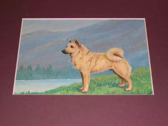 Antique Norwegian Buhund Dog Oil Painting On Canvas By D. Johnson Named Dog