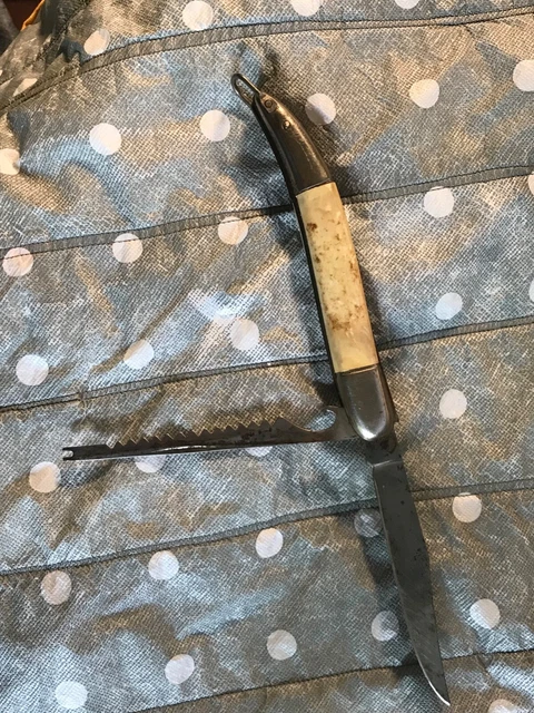Double Bladed  FISH KNIFE  (Brand Name) with Ivory -like Handle